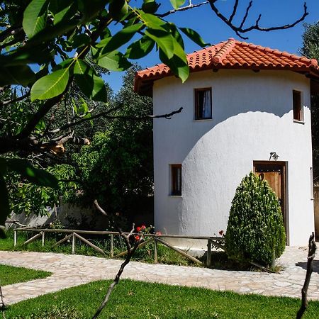 Kefalonian Mill - Oneira Villas Trapezaki  Bagian luar foto
